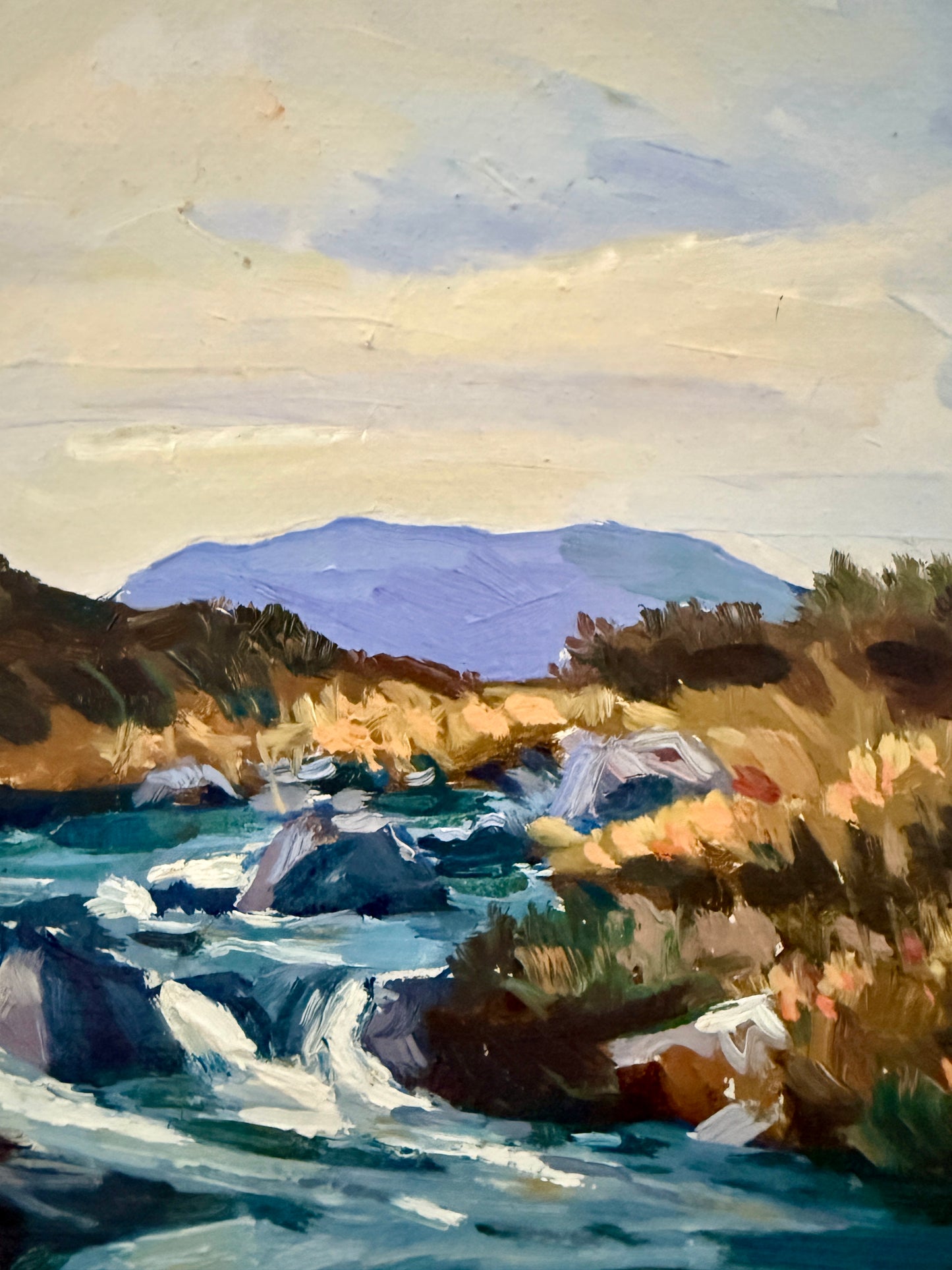 Fergal Flanagan Galway Ireland Landscape Oil Painting in Gold Frame