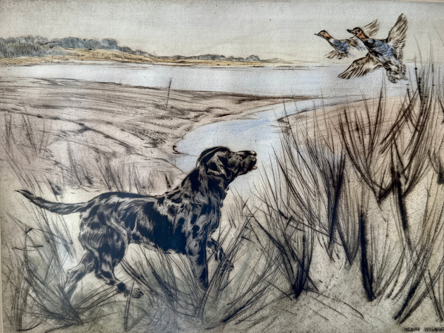 Morning Light Hunting Dog Henry Wilkinson Etching in Gilded Frame