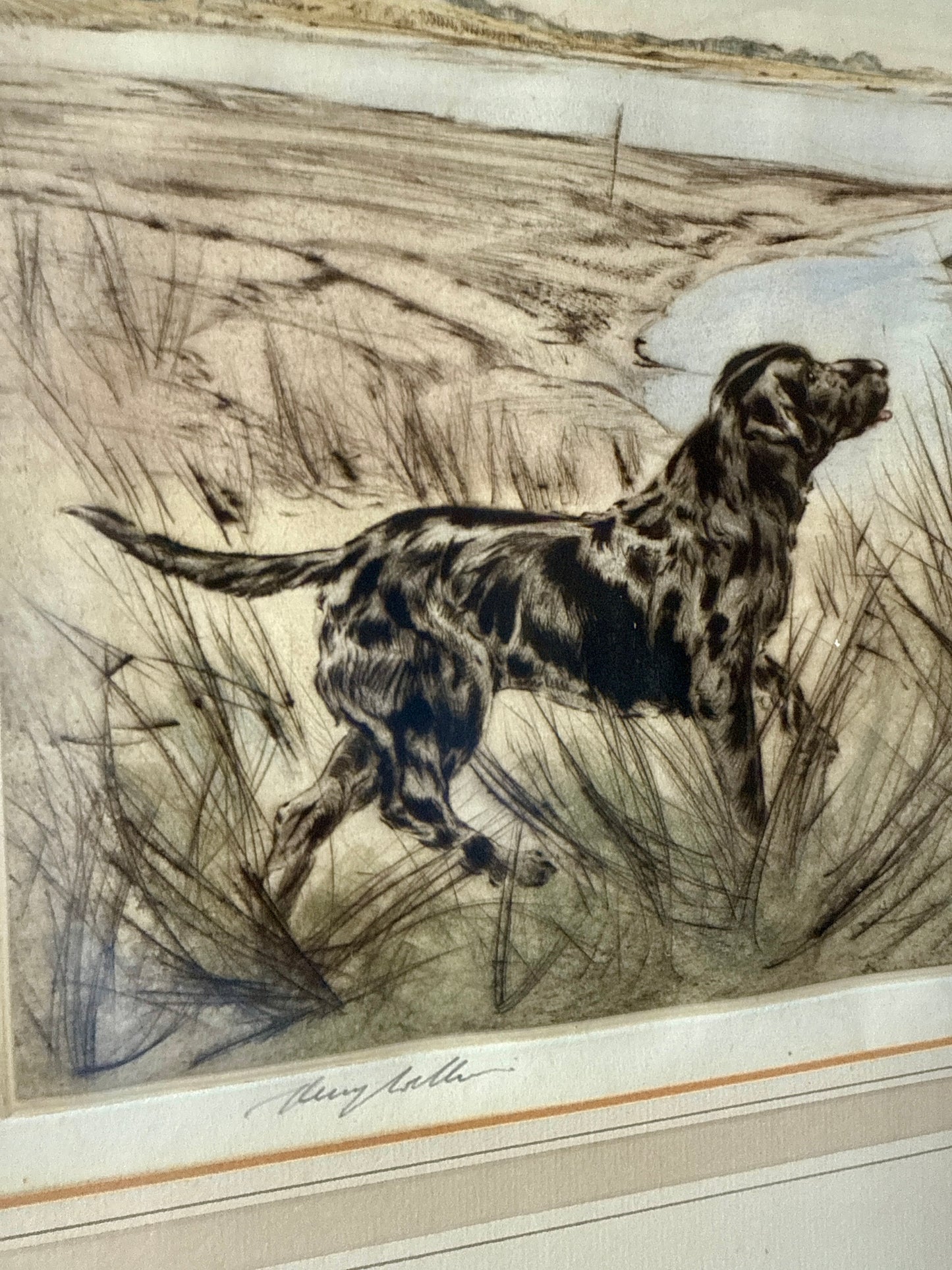 Morning Light Hunting Dog Henry Wilkinson Etching in Gilded Frame