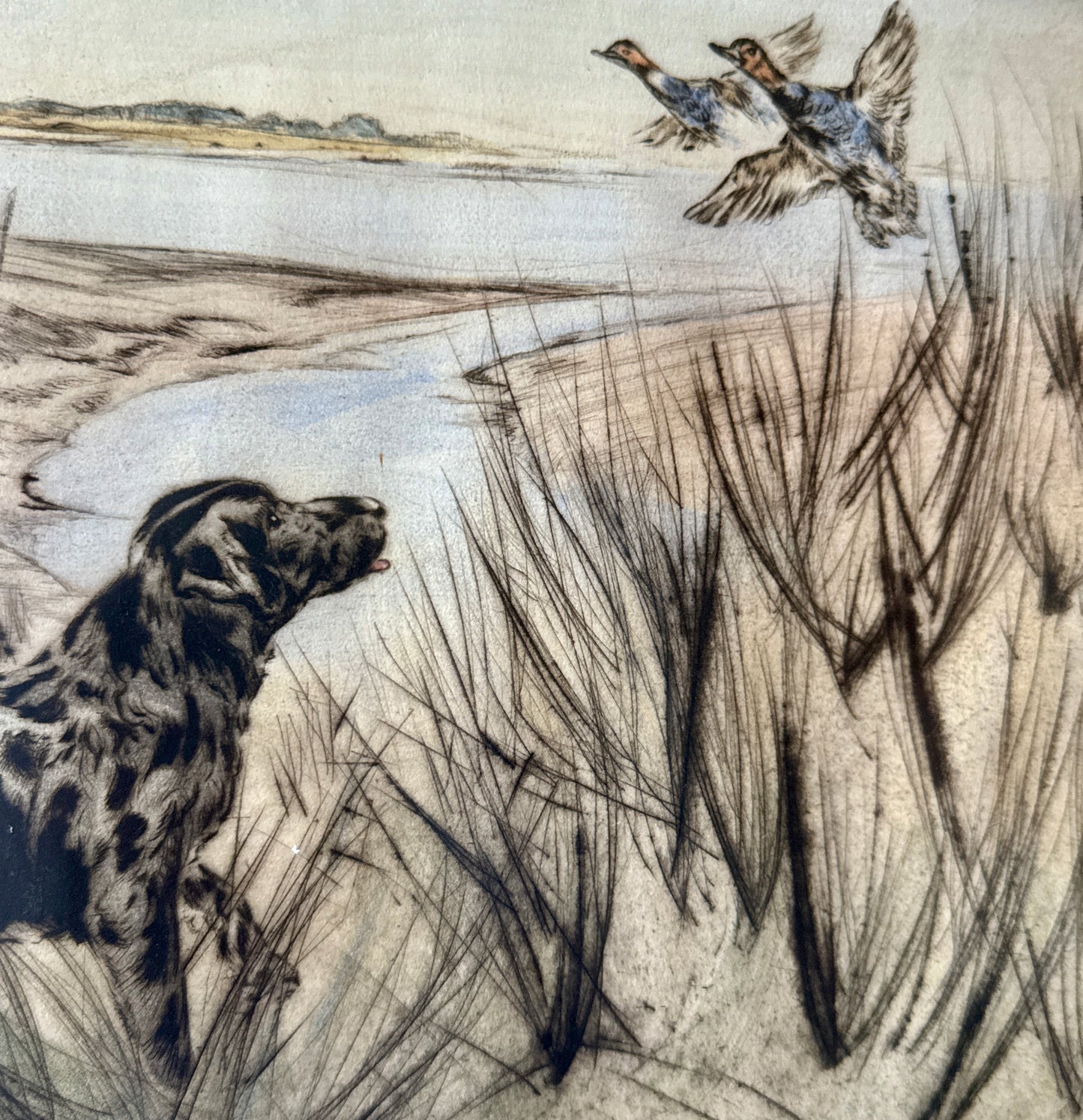 Morning Light Hunting Dog Henry Wilkinson Etching in Gilded Frame