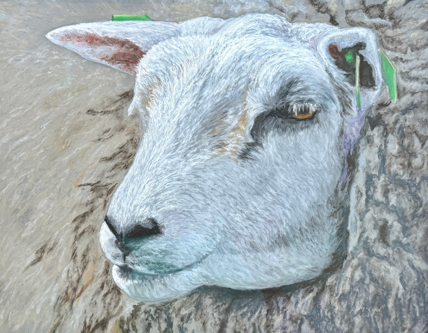 Karen McCool Wouldn't Ewe Know It Pastel Sheep Portrait in Gray Washed Wood Frame