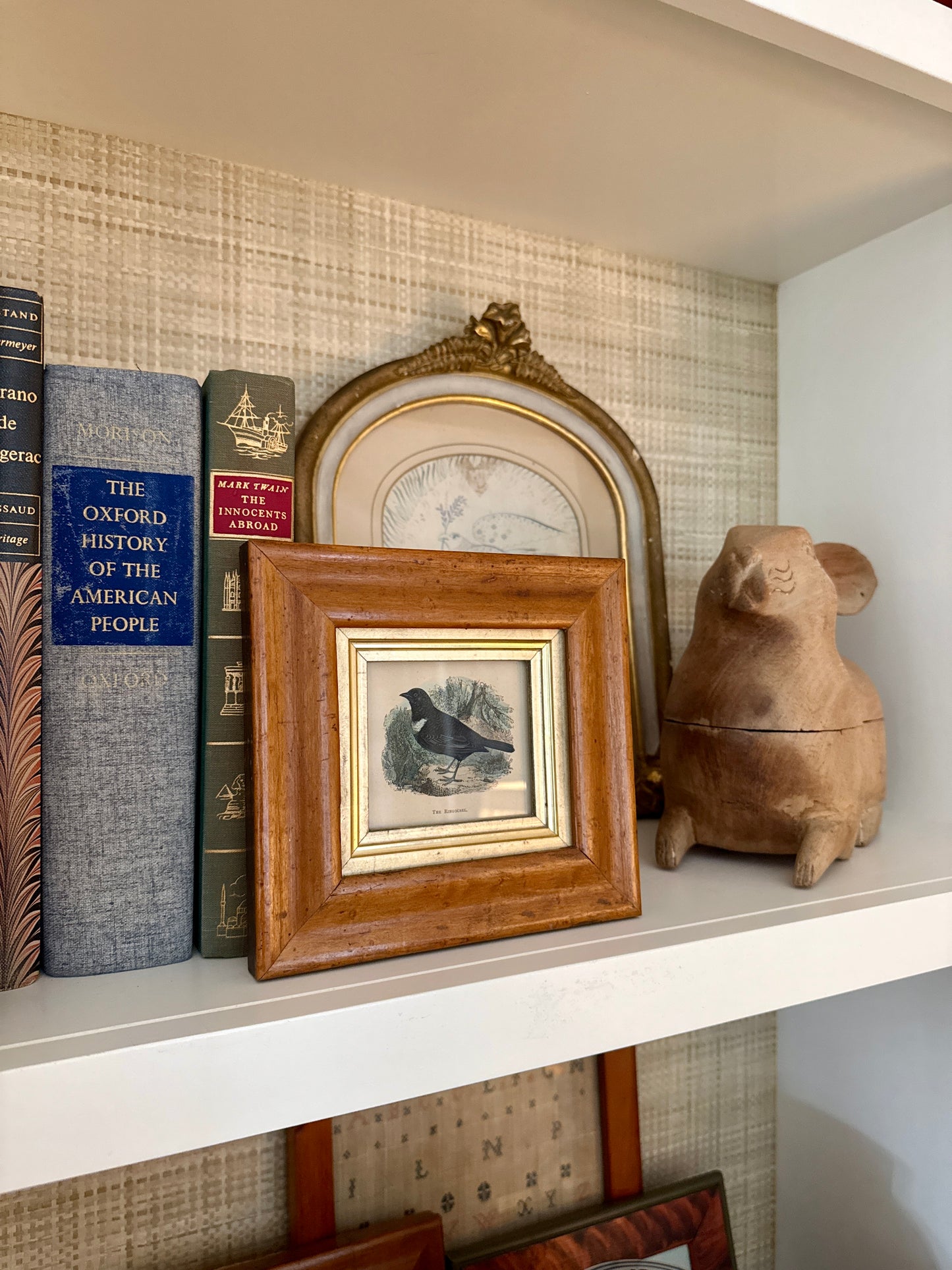 19th Century Ring Ouzel Hand Colored Lithograph in Antique Birdseye Maple Frame