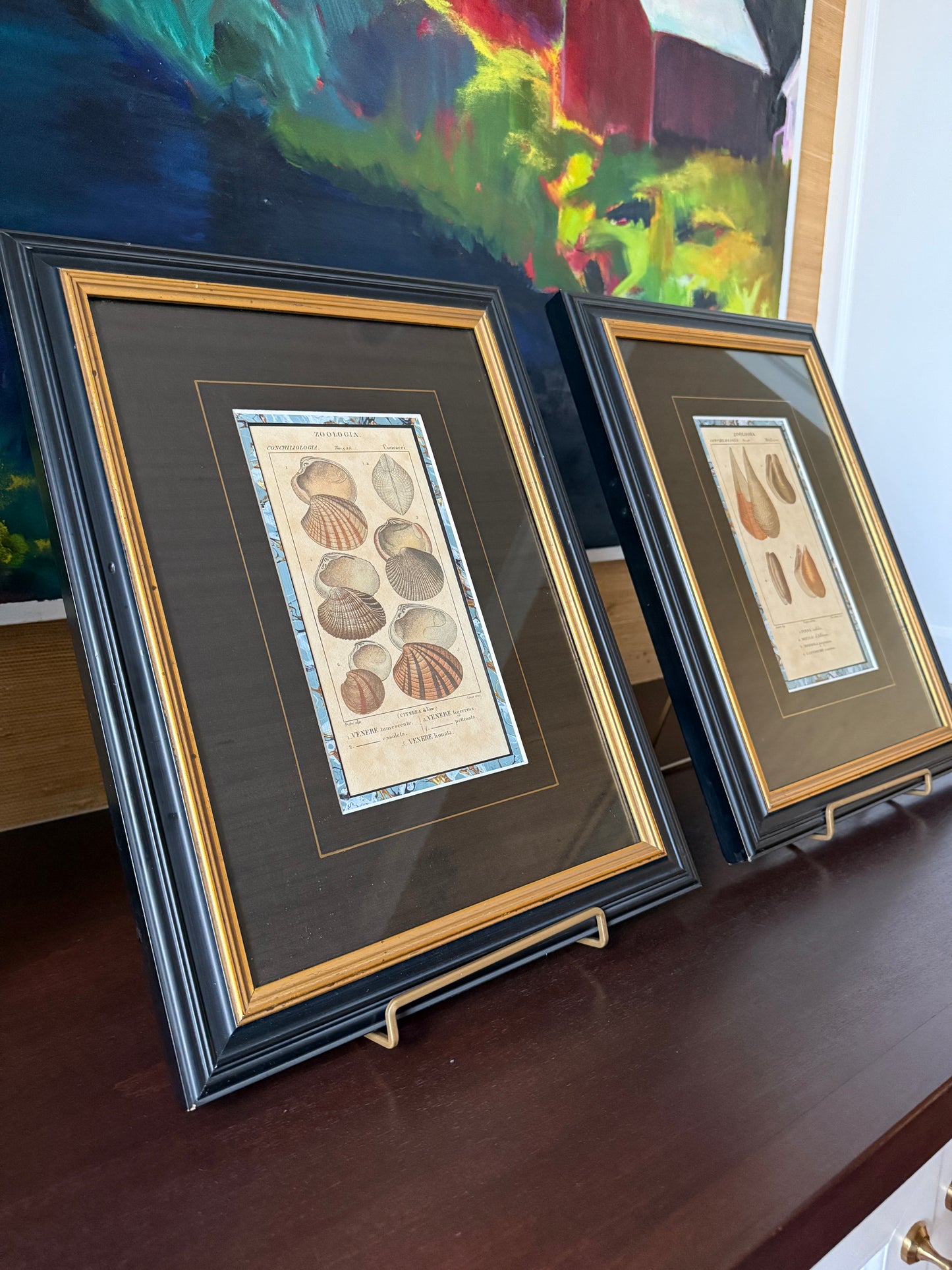 Pair of Pierre Turpin Hand Colored Seashell Lithographs in Black and Gold Frames