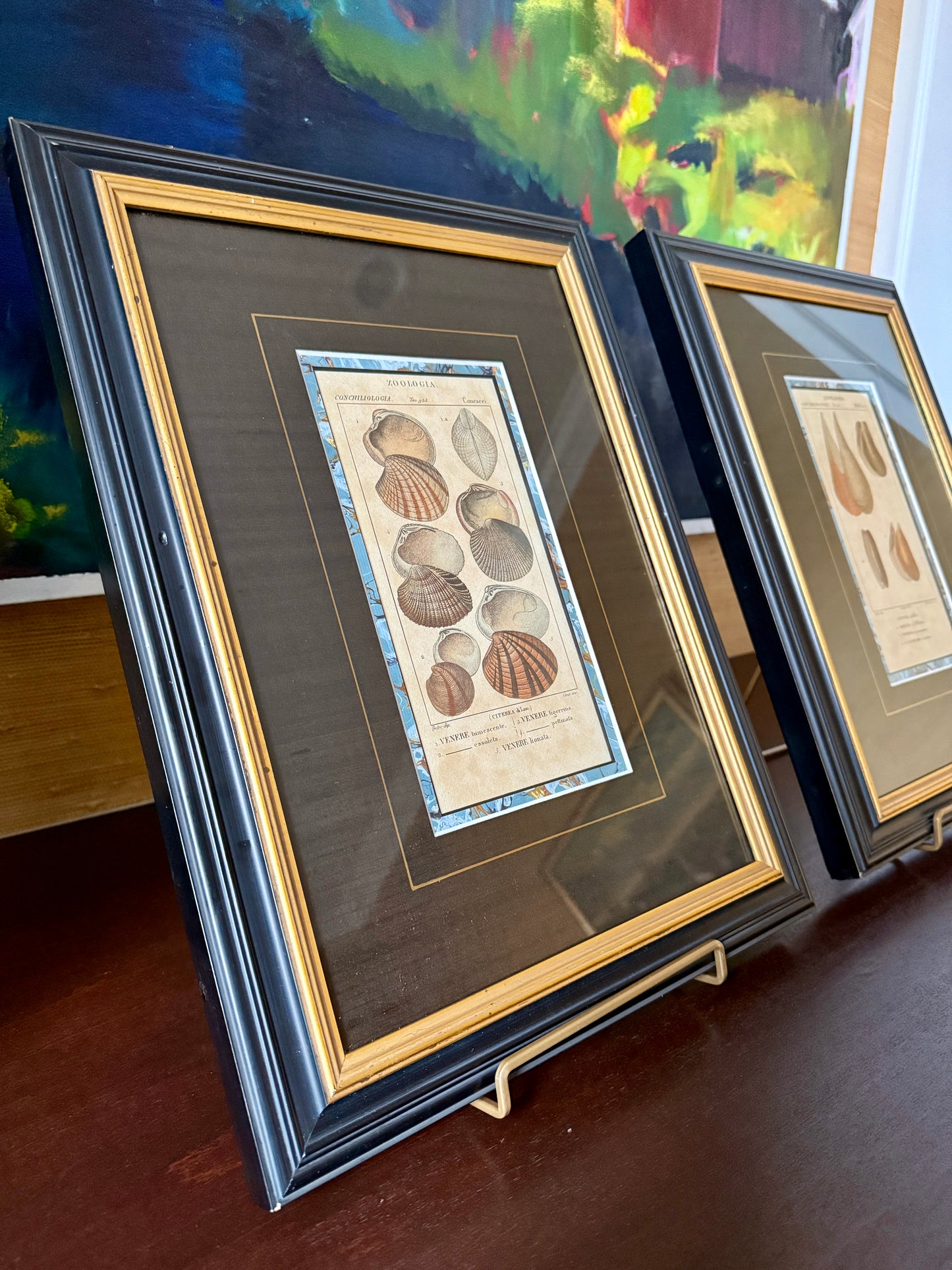 Pair of Pierre Turpin Hand Colored Seashell Lithographs in Black and Gold Frames