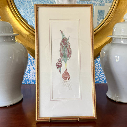 Vintage Spring Bulb Botanical Study Watercolor Painting in Gold Frame