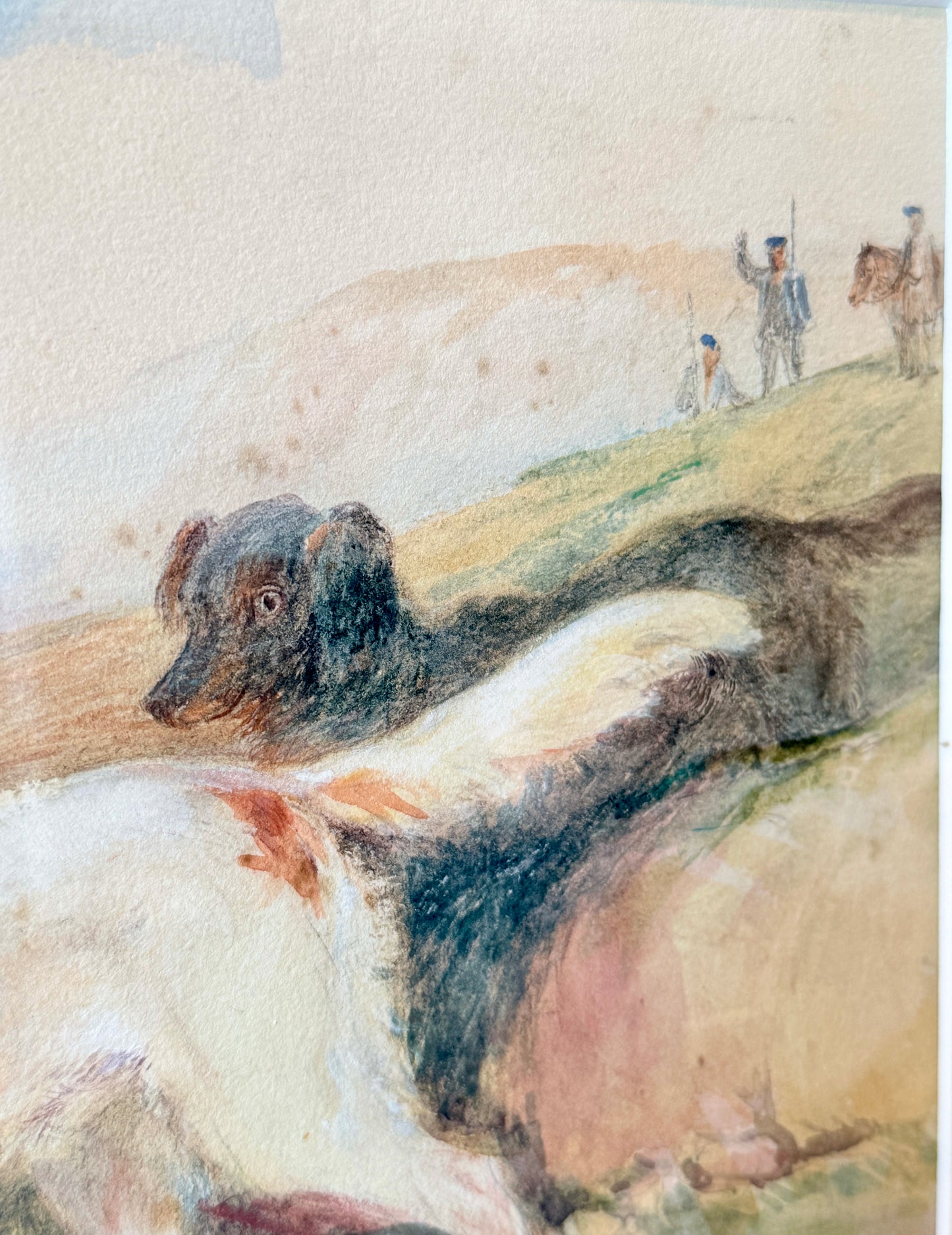 1879 John Henderson Scott Dog and Grouse Hunting Dog Portrait Watercolor Painting in Gold Frame