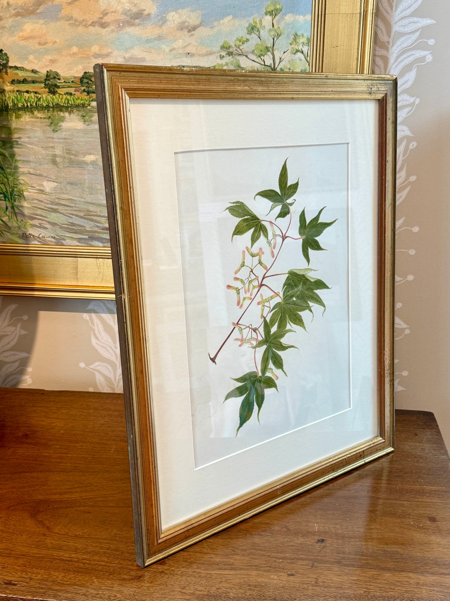 Kathleen Moyra Bellis Maple Branch Botanical Watercolor Painting in Gold Frame