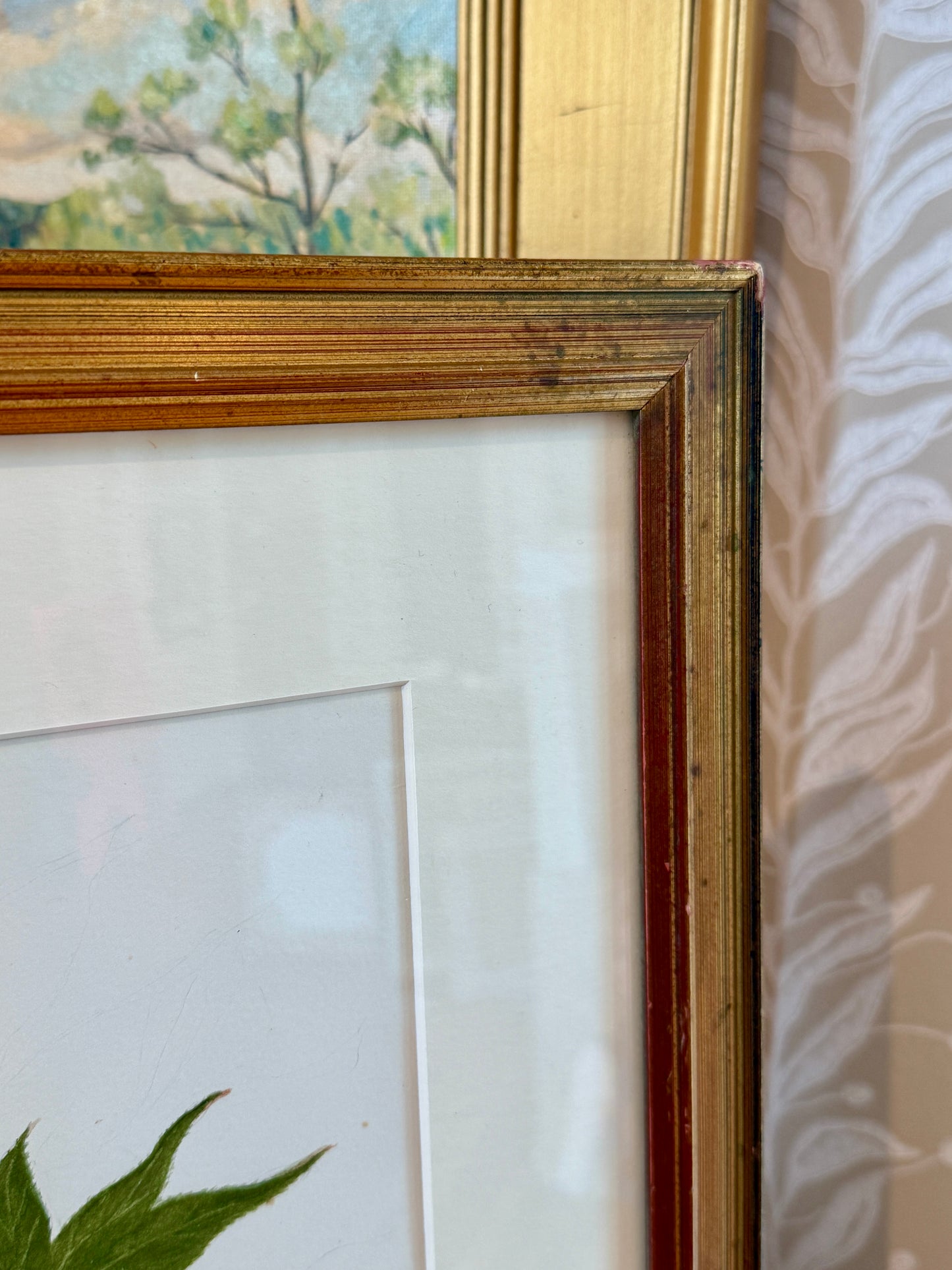Kathleen Moyra Bellis Maple Branch Botanical Watercolor Painting in Gold Frame