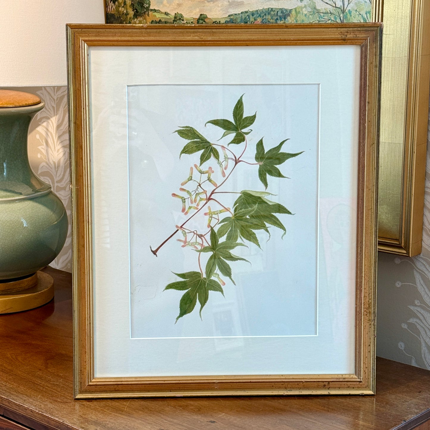 Kathleen Moyra Bellis Maple Branch Botanical Watercolor Painting in Gold Frame