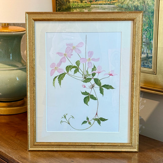 Kathleen Moyra Bellis Pink Clematis Floral Watercolor Painting in Gold Frame