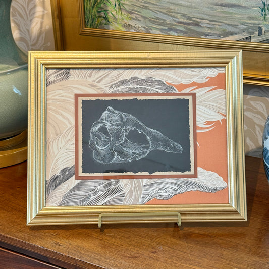 Conch Shell Study Drawing on Vintage Chintz Fabric in Gold Frame