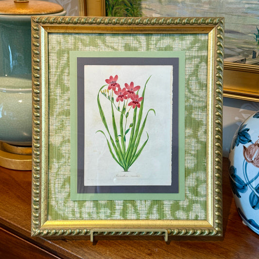 19th c. Hand Colored Botanical Engraving on Green Highland Court Fabric in Vintage Gold Roped Frame