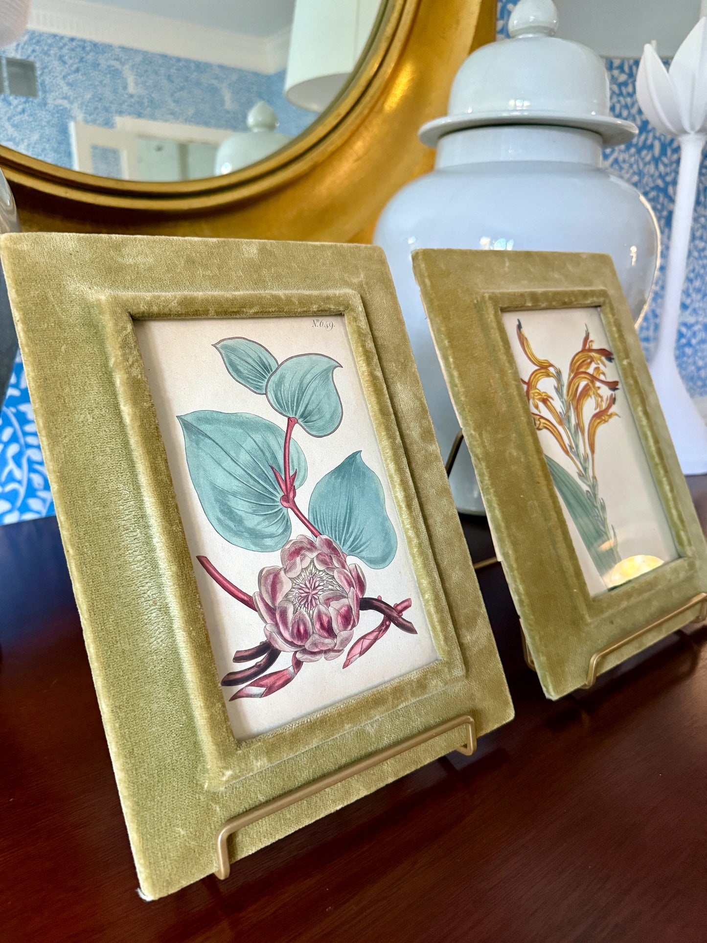 Pair of 19th Century Hand Colored Botanical Lithographs in Green Velvet Frames