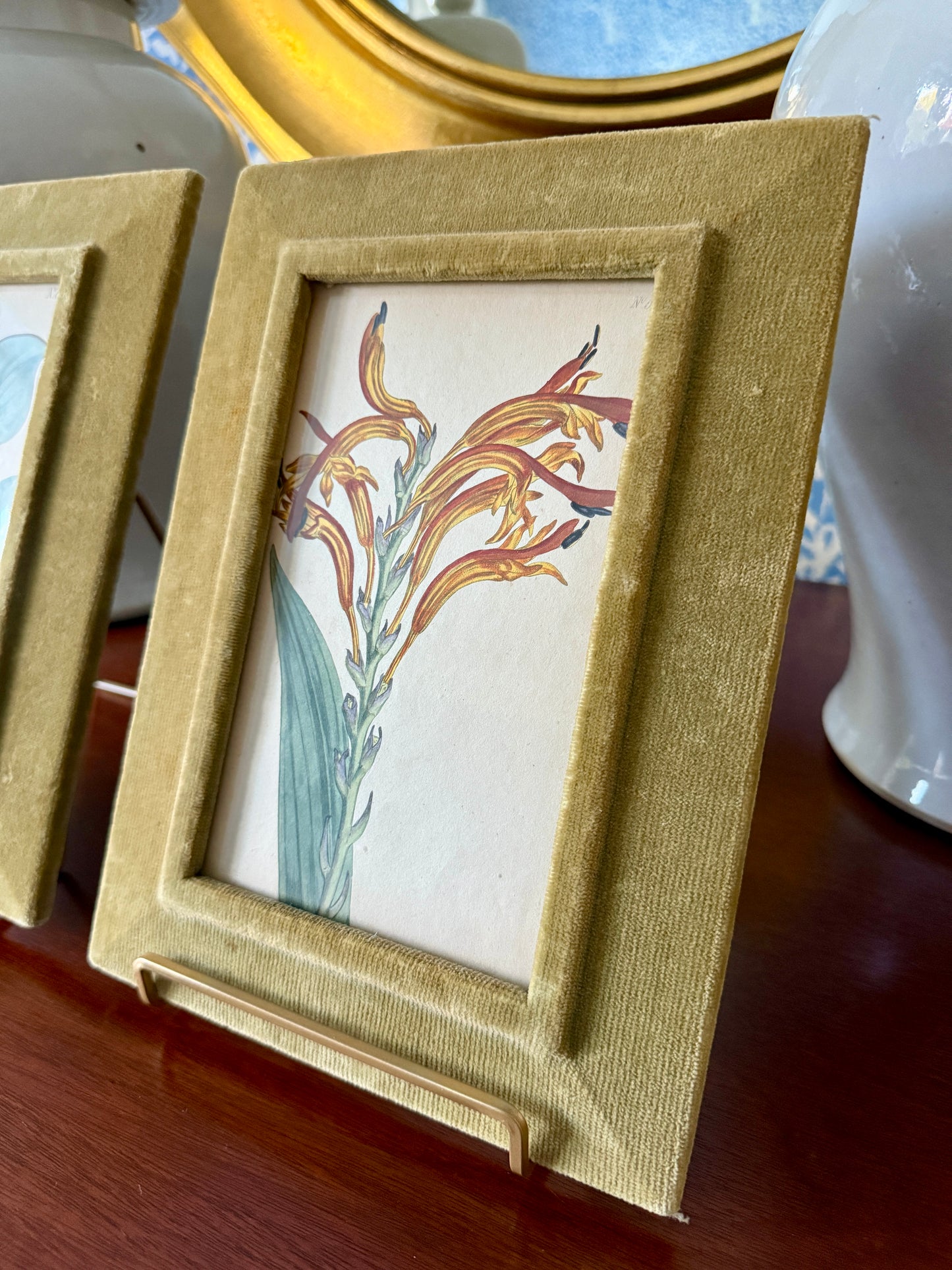 Pair of 19th Century Hand Colored Botanical Lithographs in Green Velvet Frames