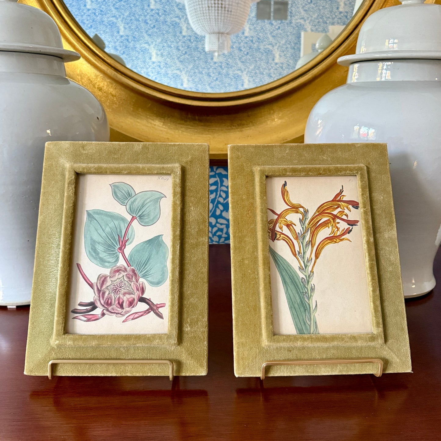 Pair of 19th Century Hand Colored Botanical Lithographs in Green Velvet Frames