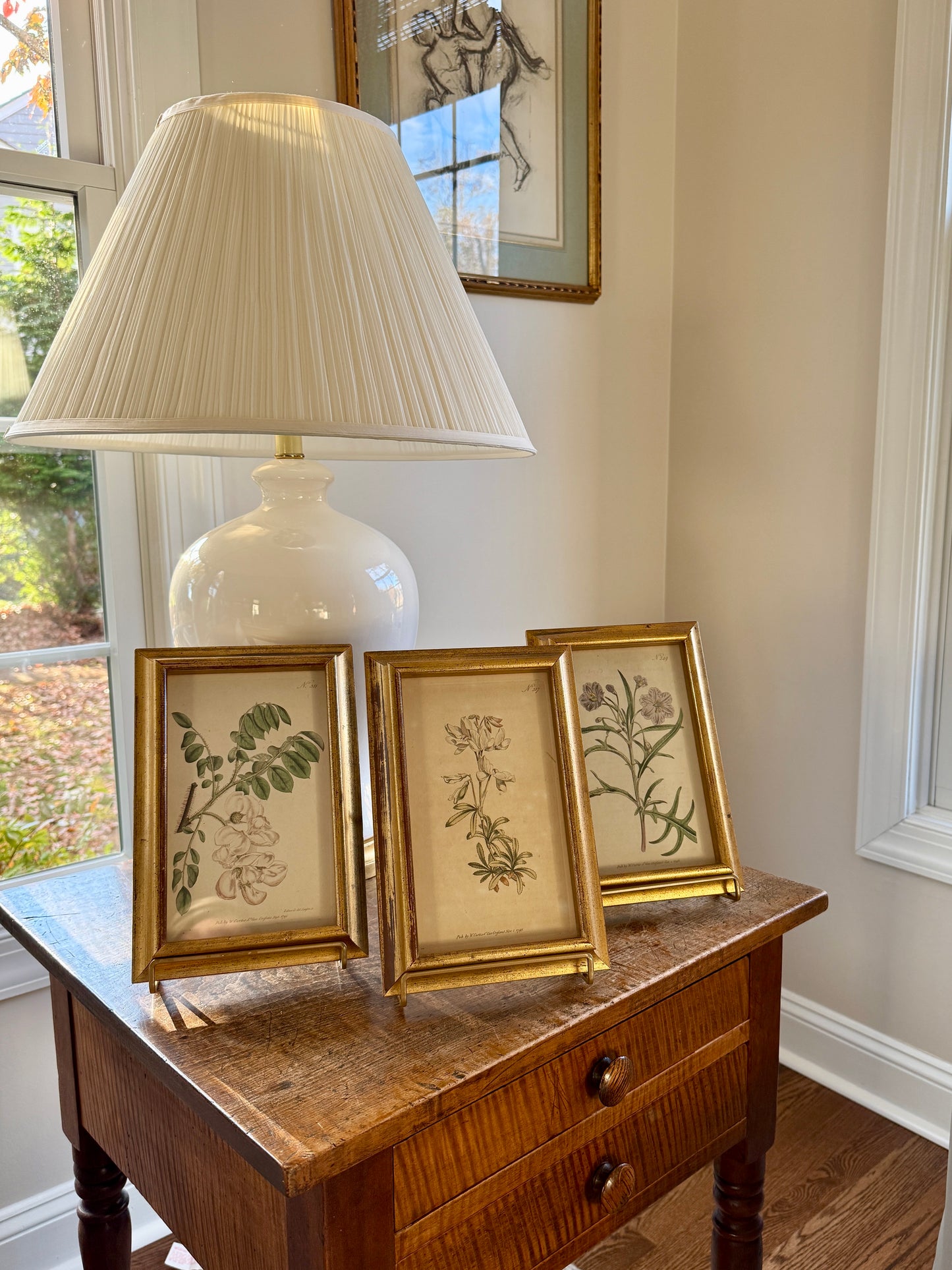 Set of Three Wiliam Curtis 19th Century Hand Colored Botanical Engravings in Gold Frames