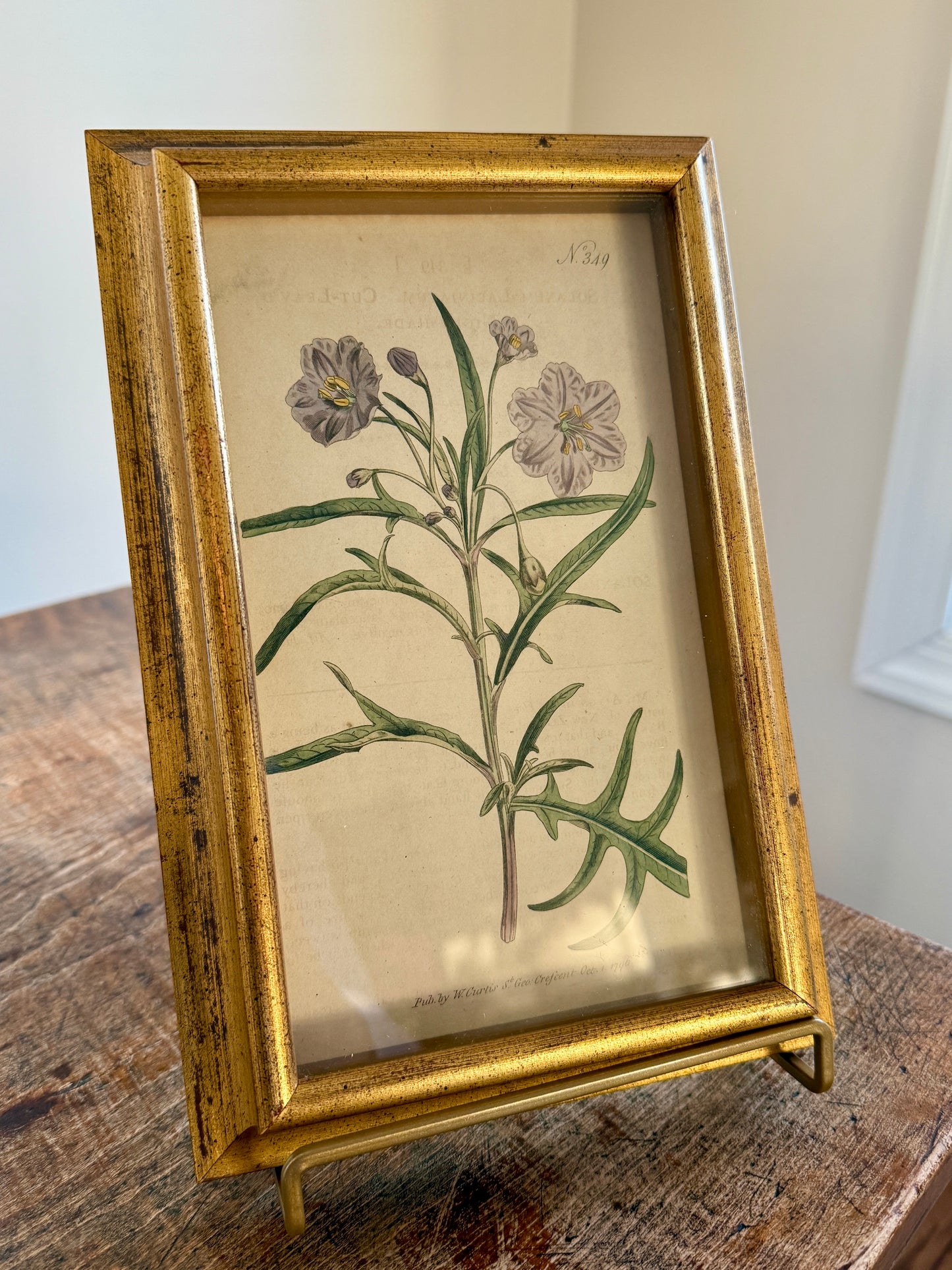Set of Three Wiliam Curtis 19th Century Hand Colored Botanical Engravings in Gold Frames