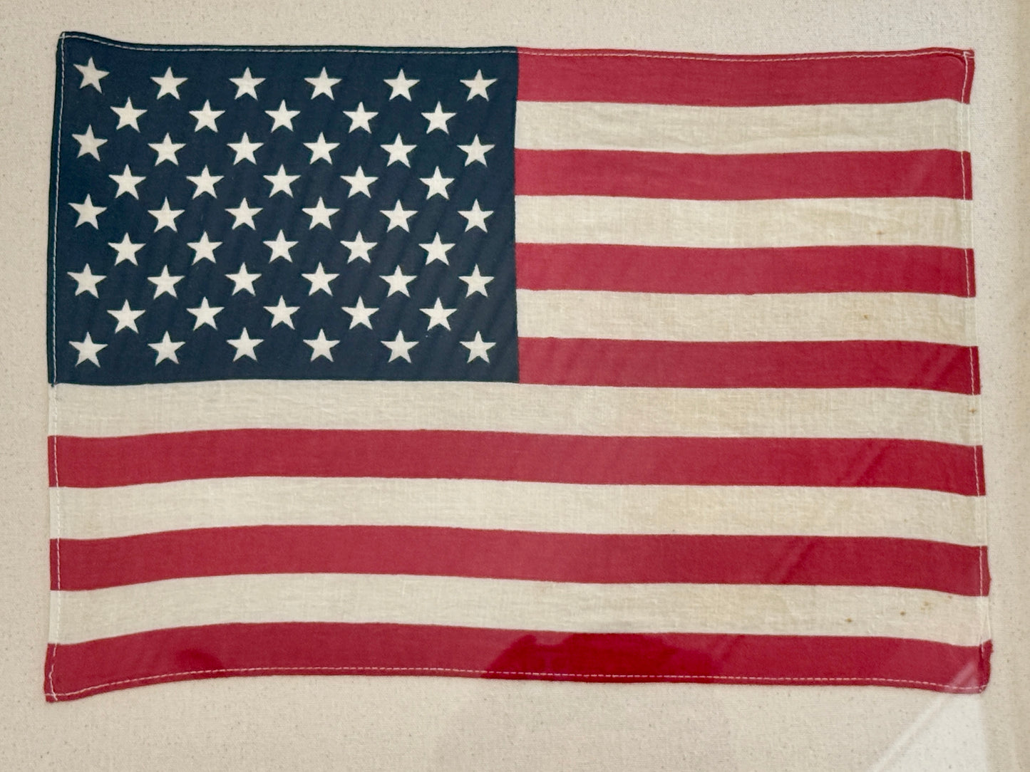 50 Star American Flag on Ivory Duck Cloth in Gold Wood Frame