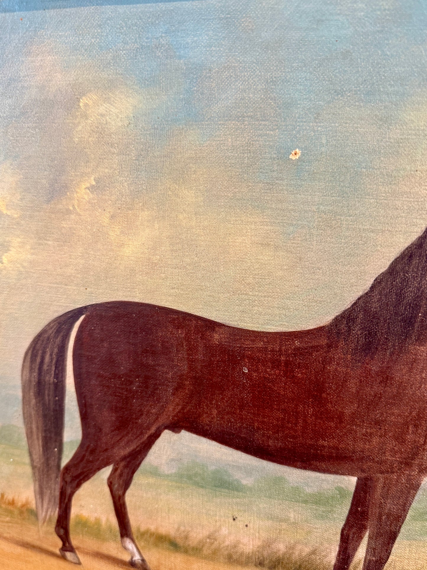 19th Century Horse Equine Portrait Oil Painting in Gold Farme