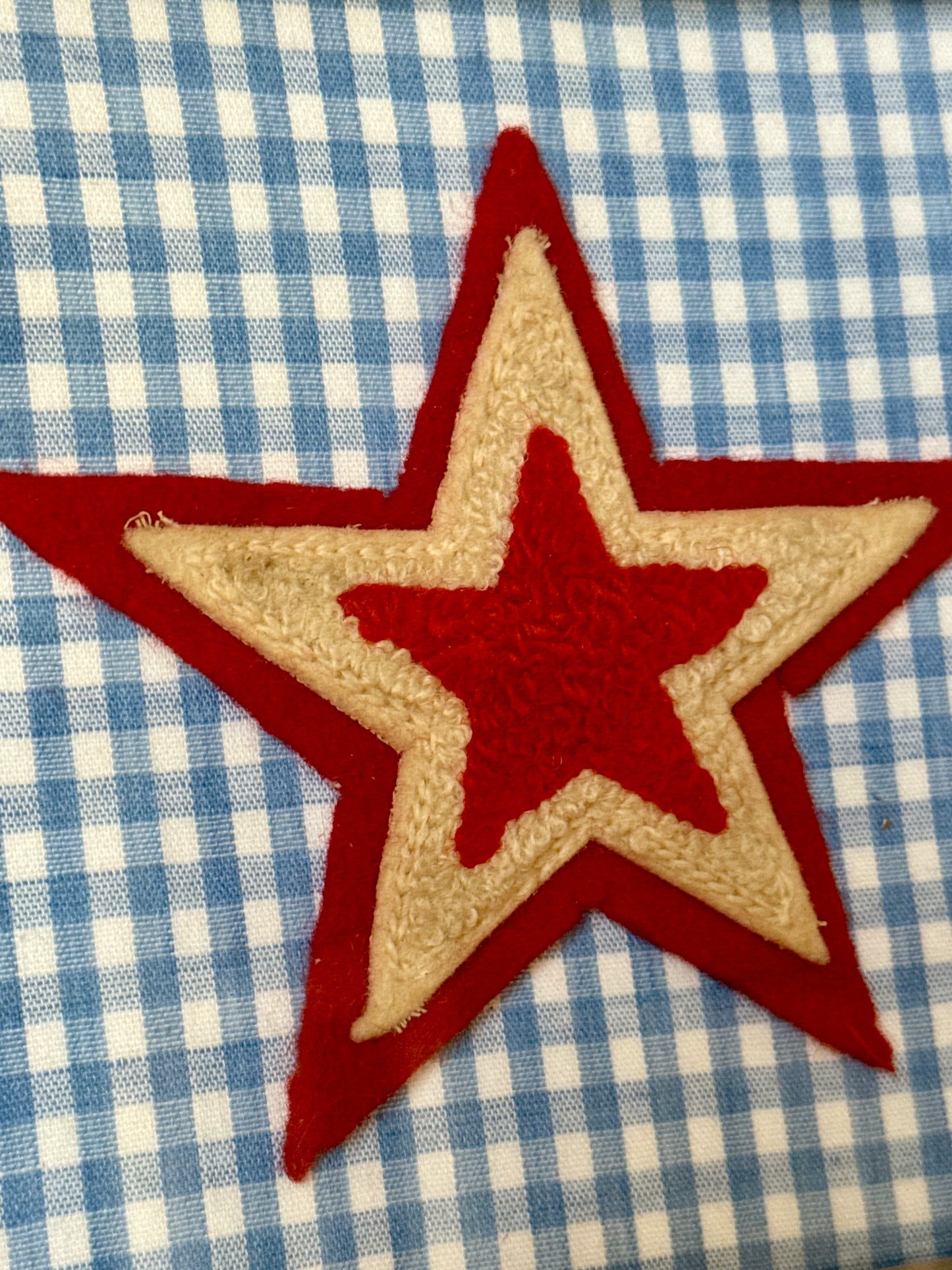 Vintage Varsity Jacket Terry and Wool Red Star on Blue Gingham in Gold Frame