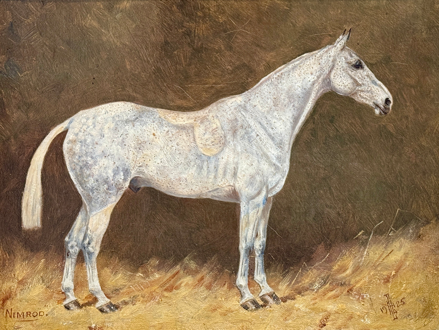 Antique 1925 Follower of George Paice Nimrod Gray Hunter Horse Equine Portrait Oil Painting