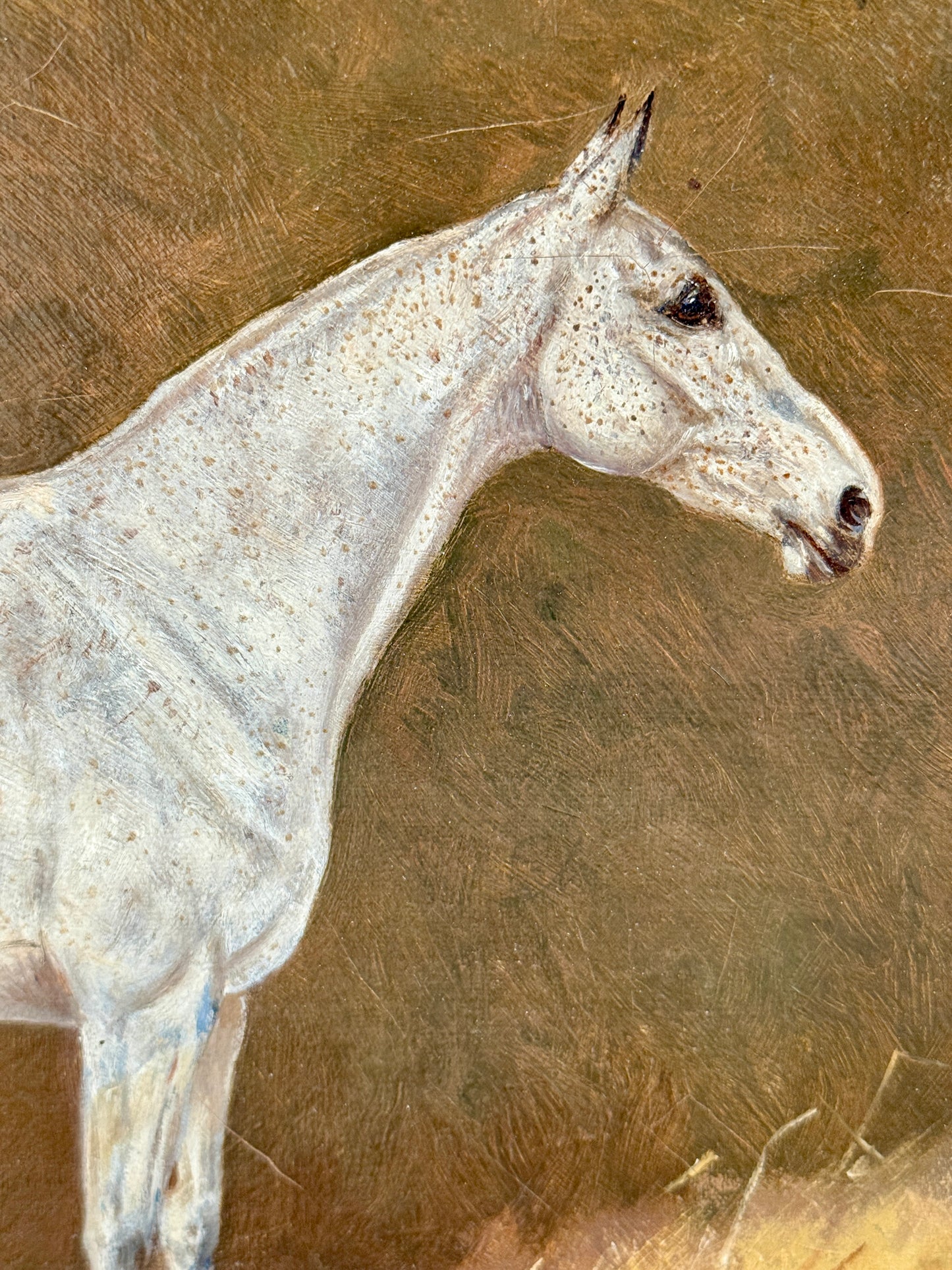 Antique 1925 Follower of George Paice Nimrod Gray Hunter Horse Equine Portrait Oil Painting