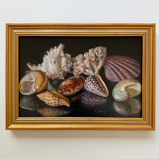 Contemporary Menagerie of Seashells and Coral Still Life Oil Painting in Gold Frame