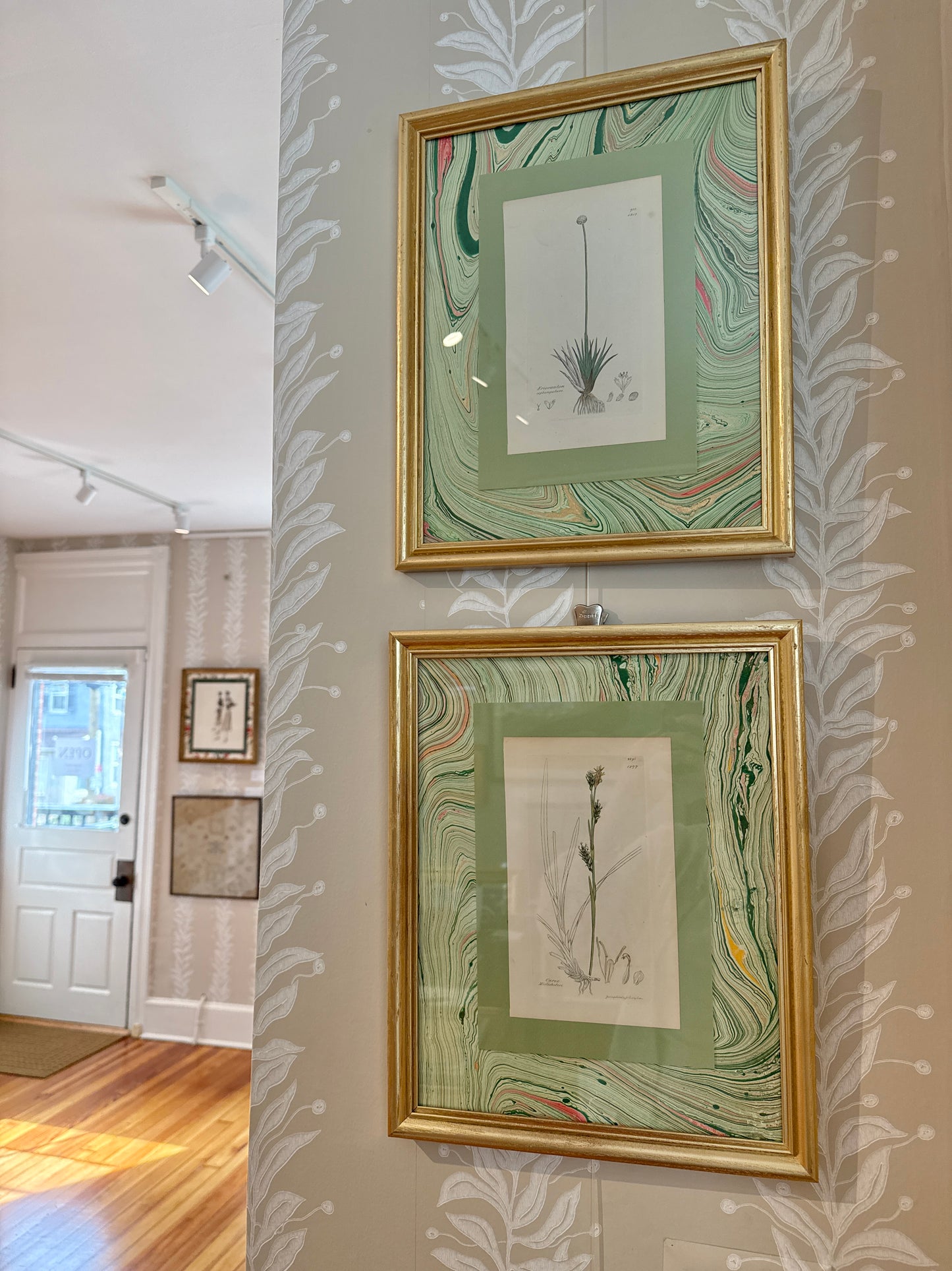 19th c. Botanical Bookplate #2 in Green Marbled Matting and Gold Frame