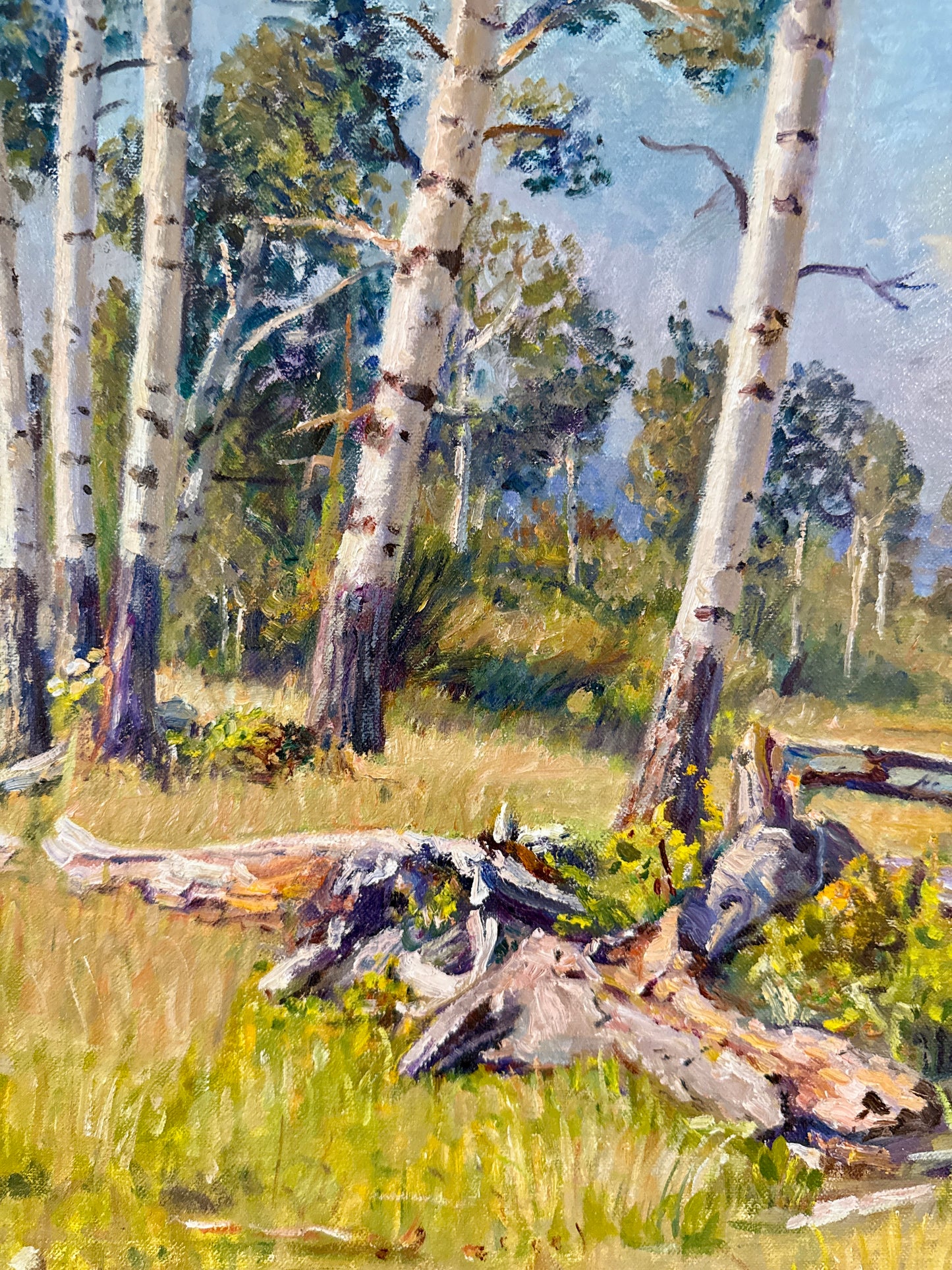 Youqing Wang Yellowstone National Park Montana Landscape Oil Painting in Gold Frame