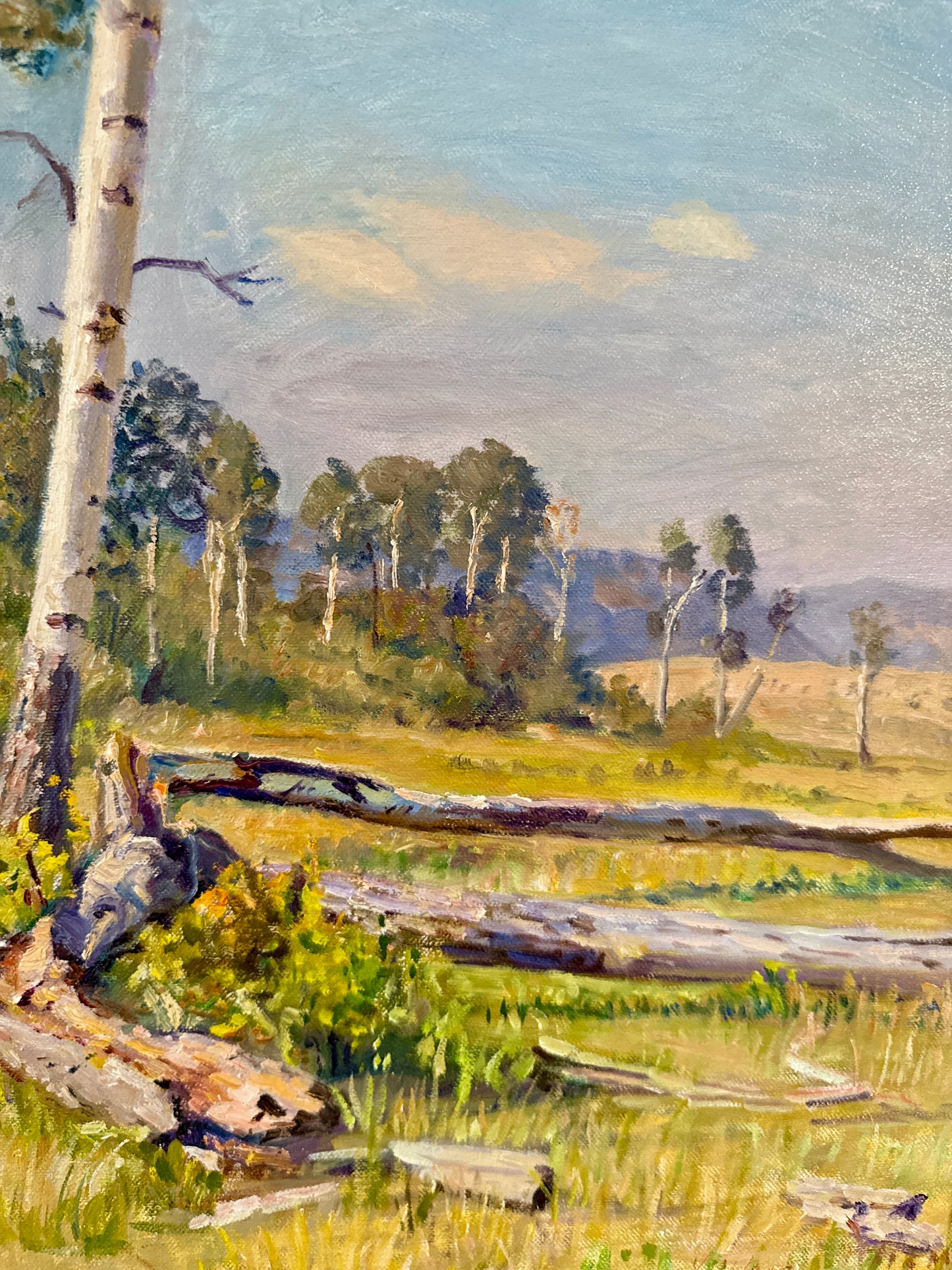 Youqing Wang Yellowstone National Park Montana Landscape Oil Painting in Gold Frame
