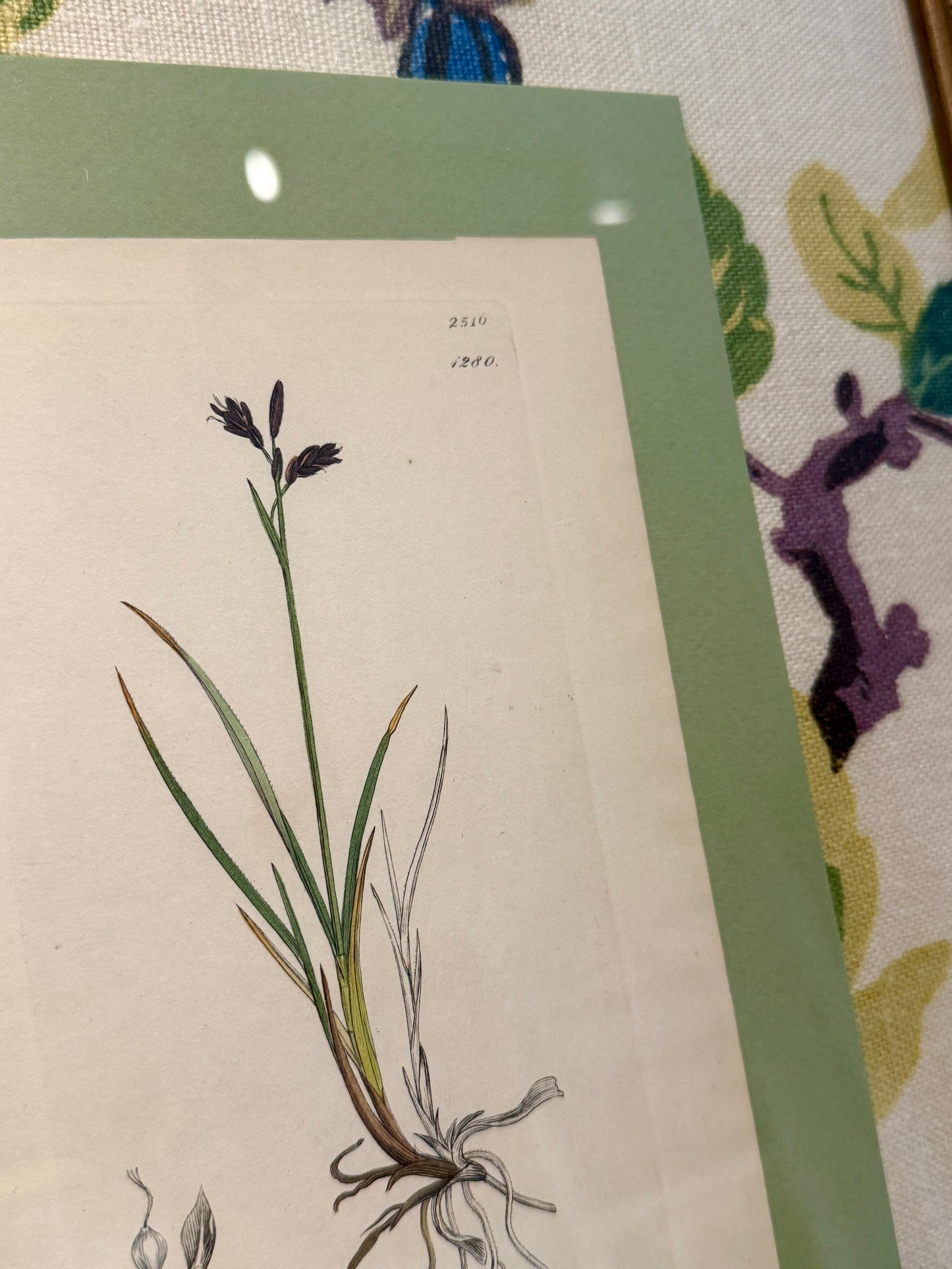19th c. Botanical #3 in Lee Jofa Tara Floral Matting and Gold Frame