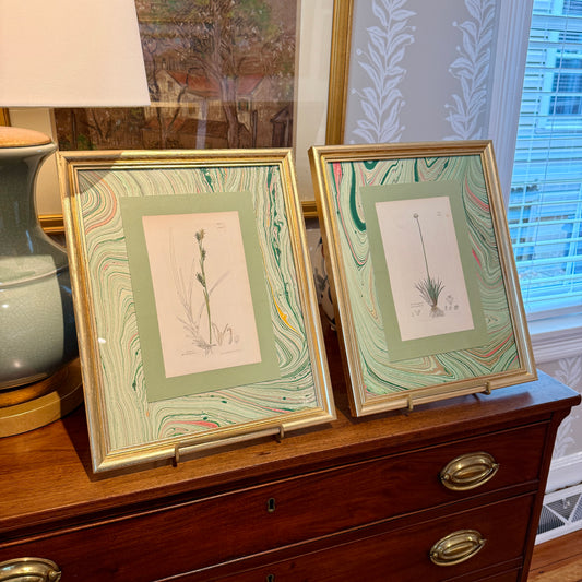 19th c. Botanical Bookplate #1 in Green Marbled Matting and Gold Frame