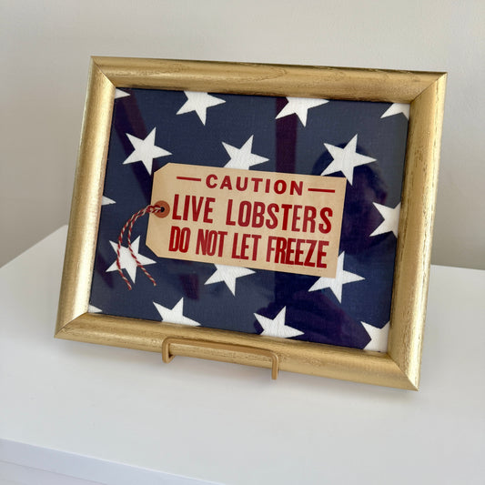 Vintage Maine Live Lobsters Tag on Blue White Star Fabric in Gold Frame