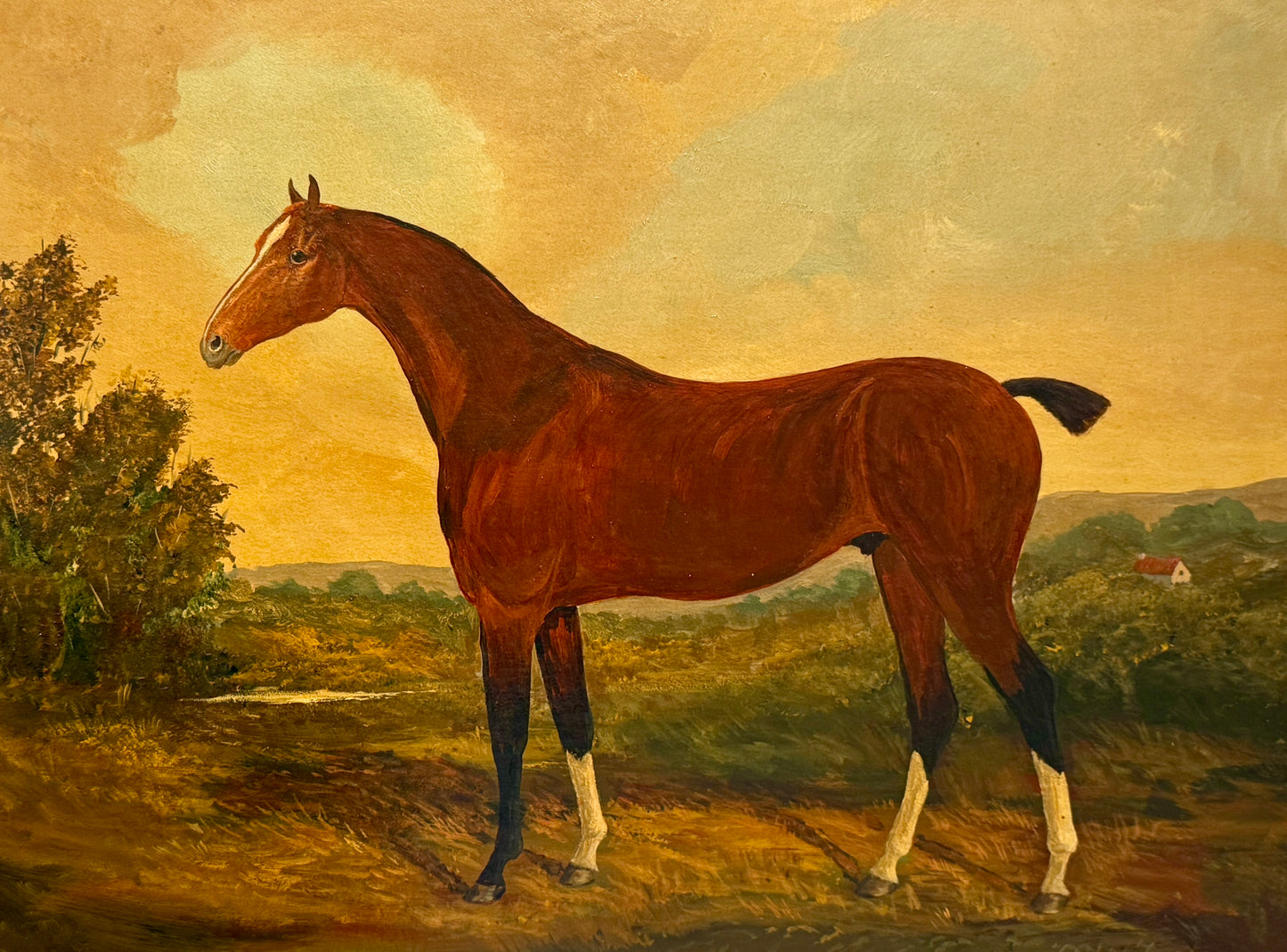 Late 19th - Early 20th Century Bay Horse Portrait British School Oil Painting in Gilded Frame