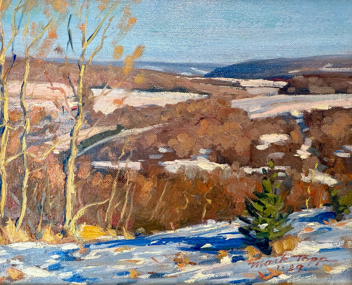 Mark Topp Autumn White Water Forest Landscape OIl Painting