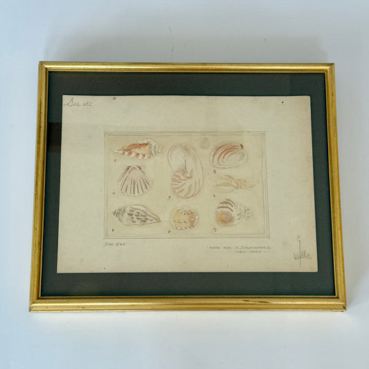 George Wells Seashell Rug Design for F. Schumacher Watercolor and Pencil in Gold Frame