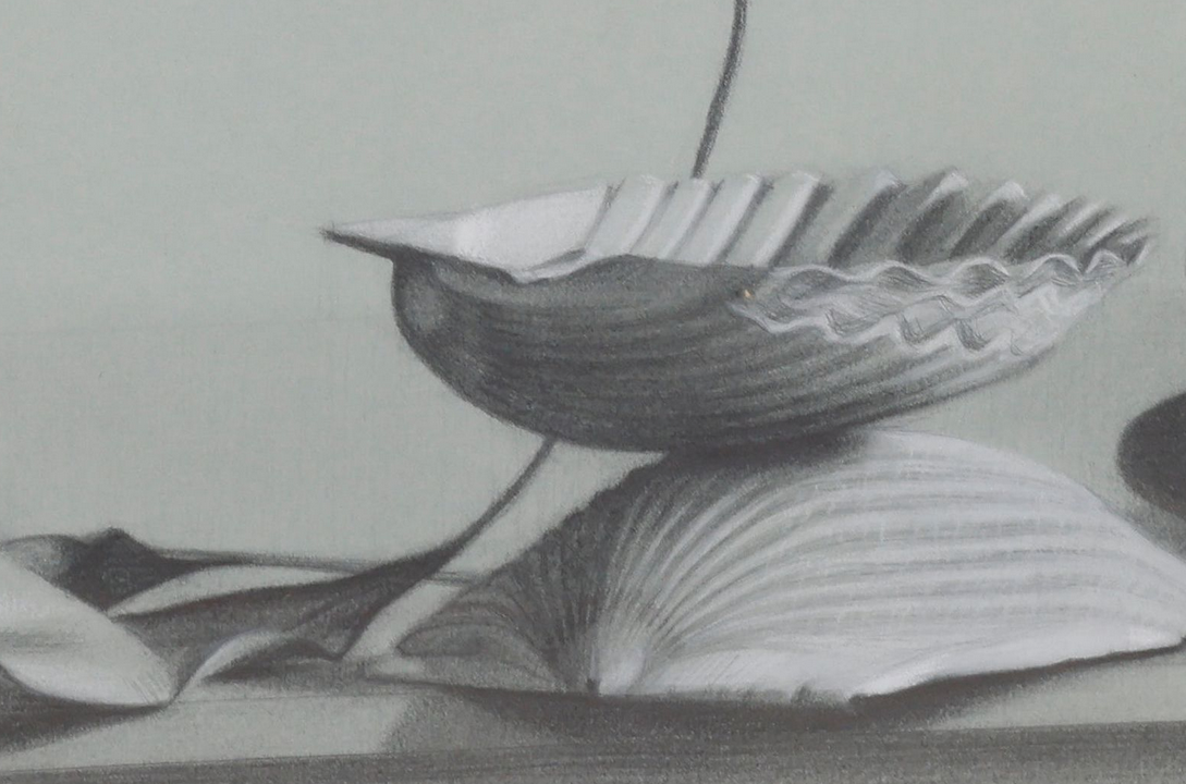Judith Goldsmith Realist Mantelpiece I Still Life Graphite Drawing Seashells and Beach Stones in Gold Frame