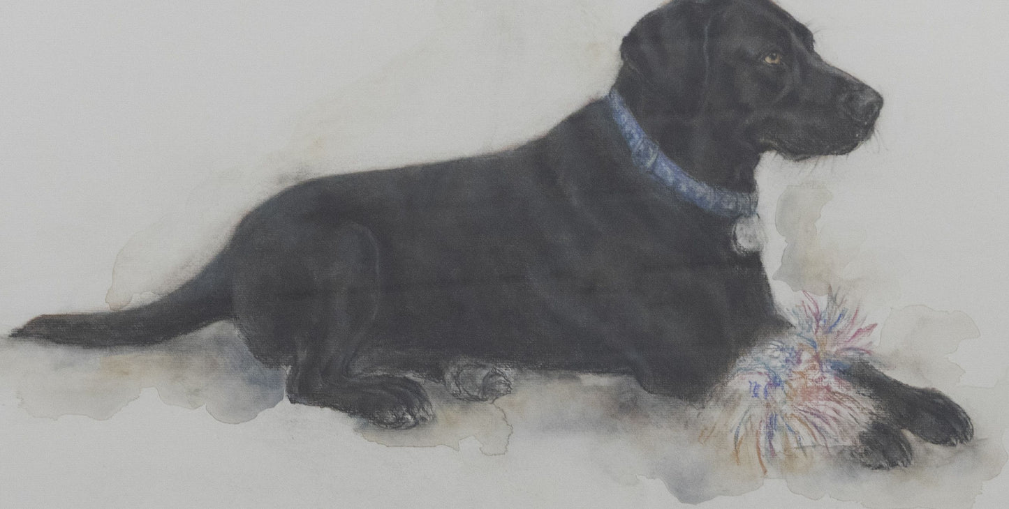 Black "Lab" Labrador Retriever Pastel Dog Portrait Painting in Gold Frame